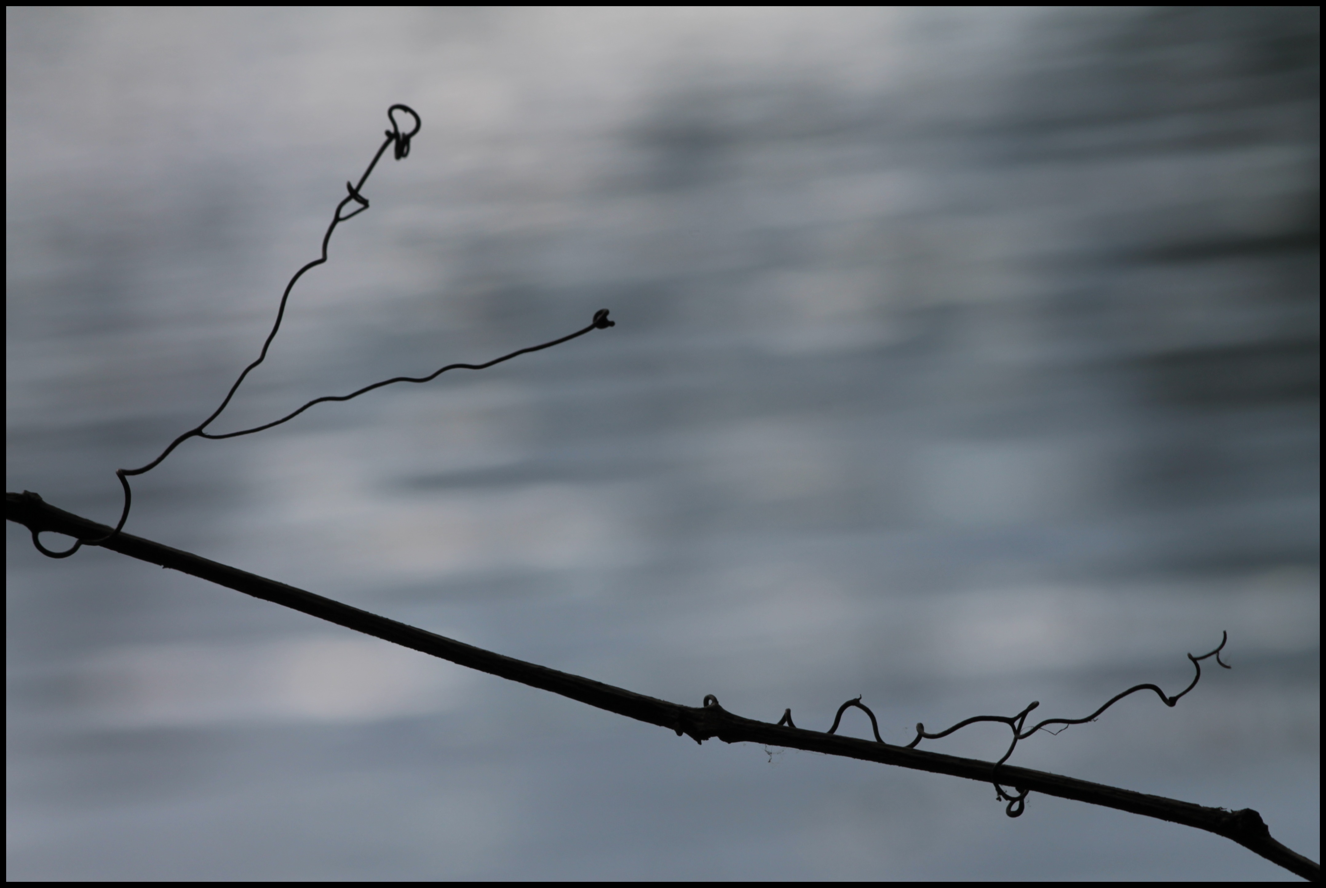 Linien in der Natur